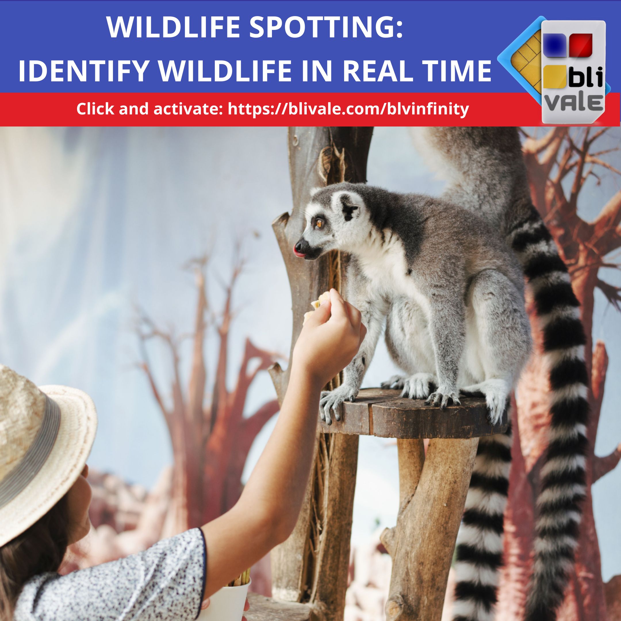 blivale_image_wildlife spotting identify wildlife in real time_800x800 Connected Without Borders: The Ultimate Guide to Digital Travel - Results from #20